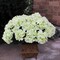 20&#x22; UV Green Hydrangea Bush with 7 Silk Flowers &#x26; Leaves by Floral Home&#xAE;